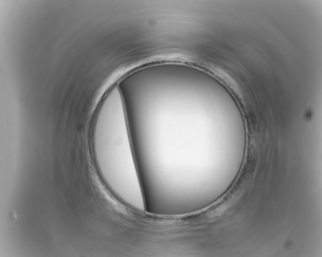 X0000092050989200709121021