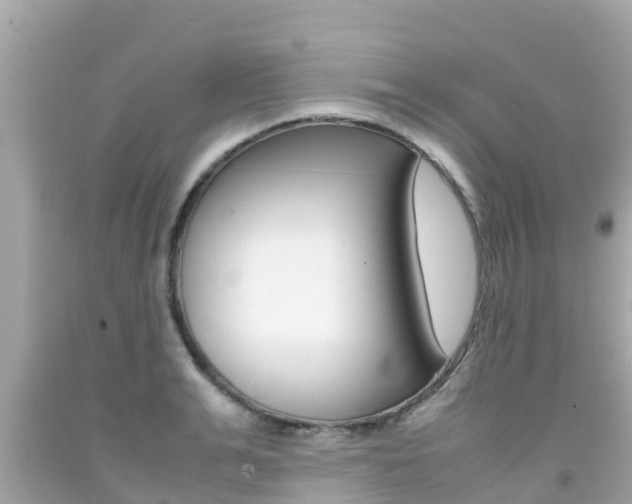 X0000092050991200709121021