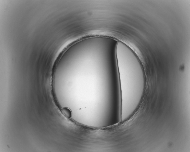 X0000092050992200709121021