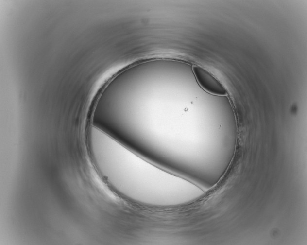 X0000092050995200709121021