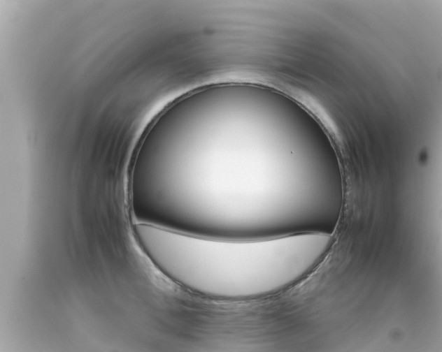 X0000092050996200709121021