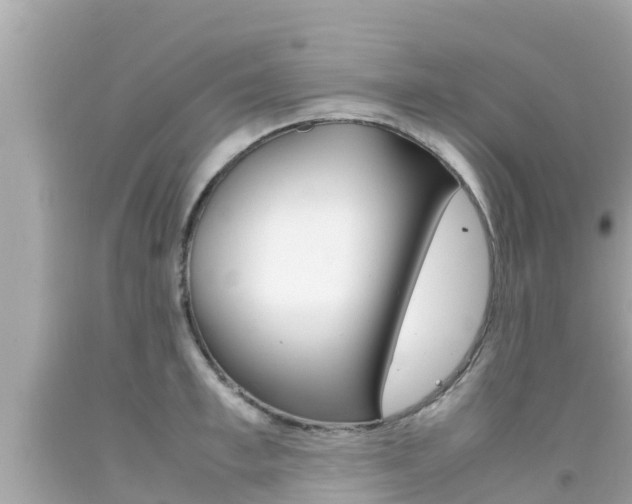 X0000092050997200709121021