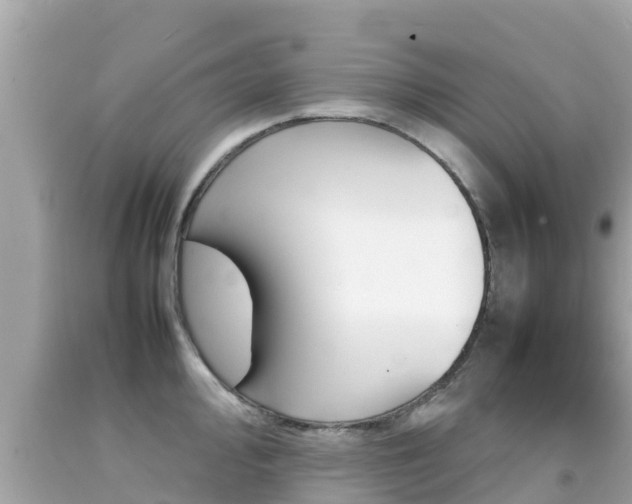 X0000092051000200709121021