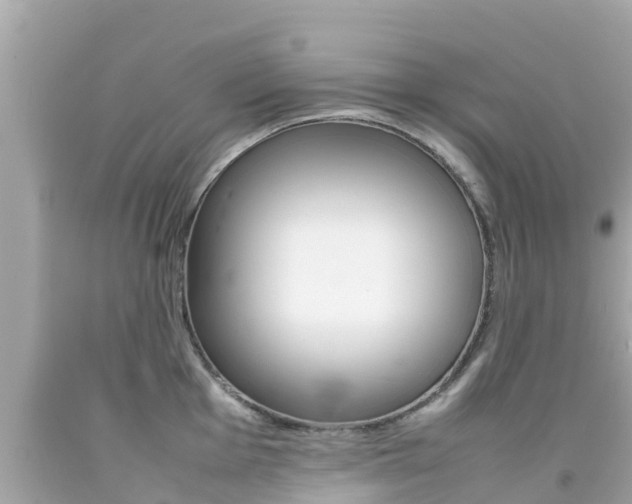 X0000092051001200709121021