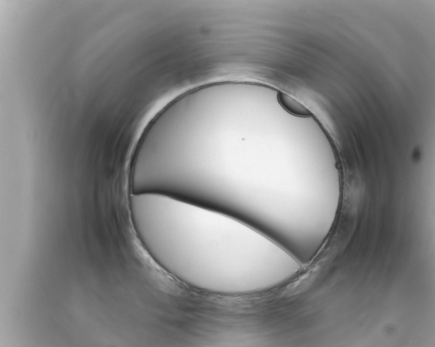 X0000092051004200709121021