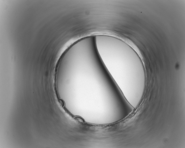 X0000092051005200709121021