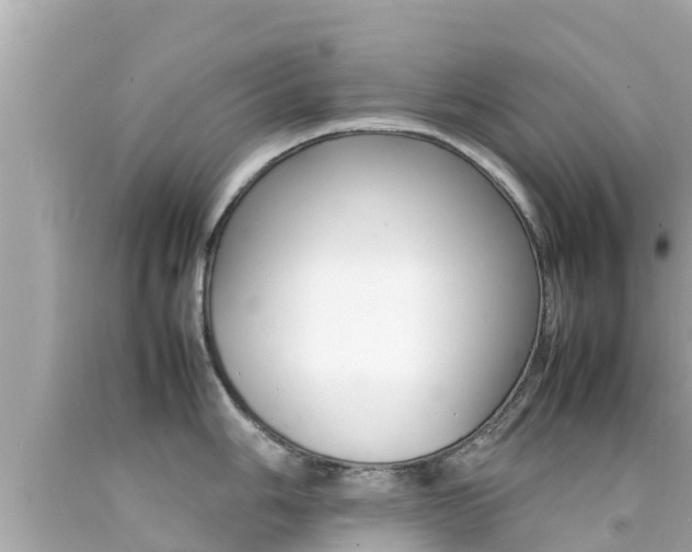 X0000092051006200709121021