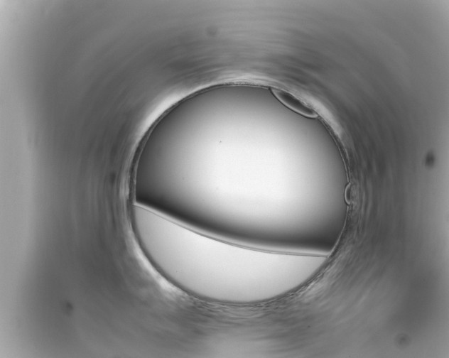 X0000092051007200709121021