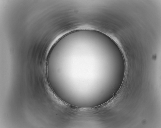 X0000092051008200709121021