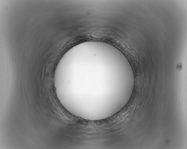 X0000092051009200709121020