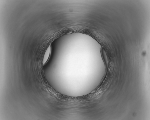 X0000092051010200709121021