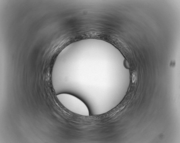 X0000092051011200709121021