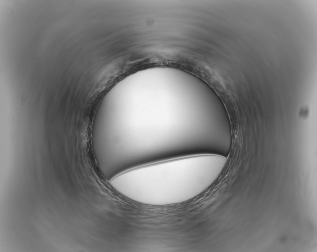 X0000092051012200709121021