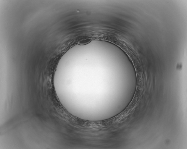 X0000092051013200709121021