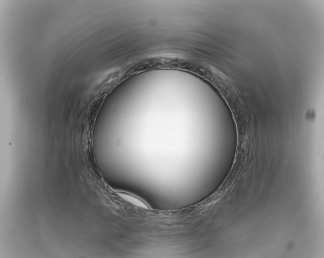 X0000092051014200709121021