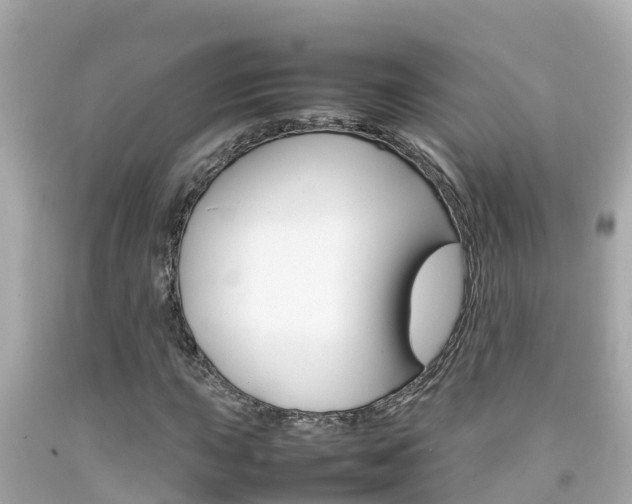 X0000092051015200709121021