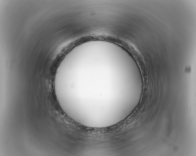 X0000092051016200709121021