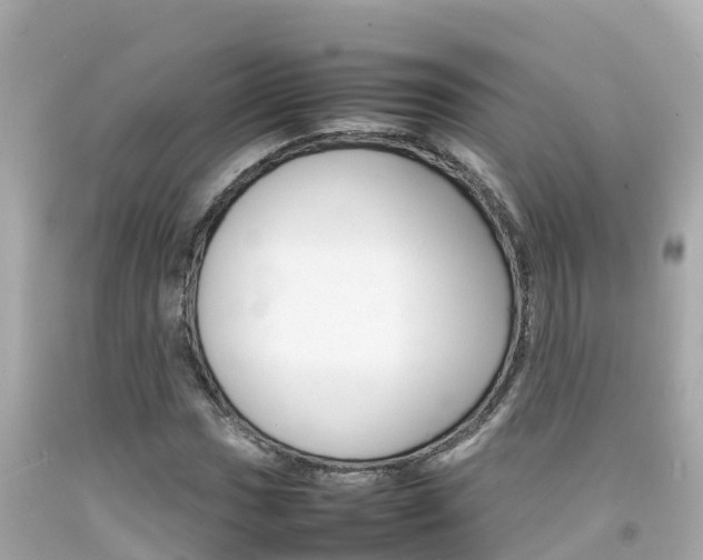 X0000092051017200709121021