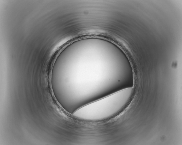 X0000092051018200709121021