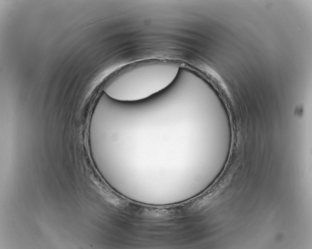 X0000092051019200709121021