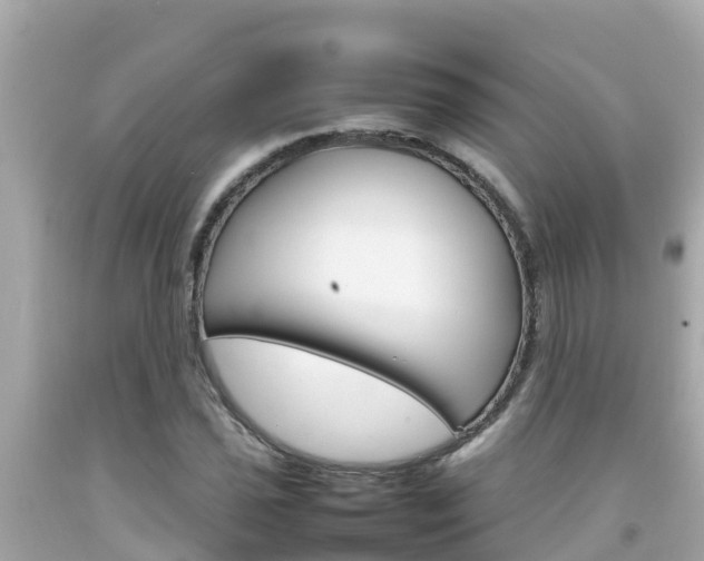 X0000092051021200709121021