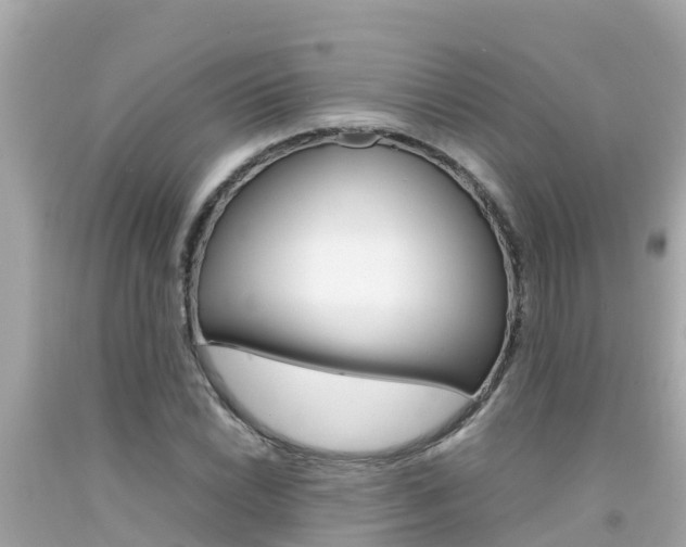 X0000092051022200709121021