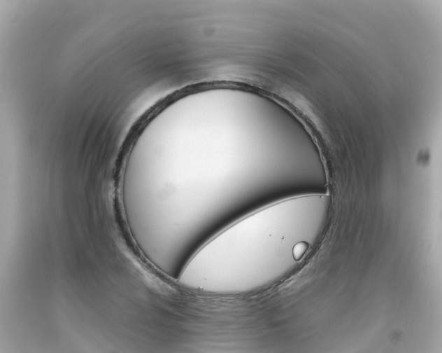 X0000092051024200709121021