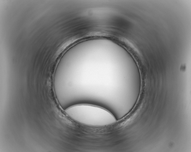 X0000092051025200709121021