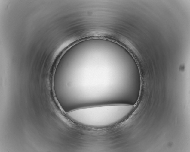 X0000092051026200709121021