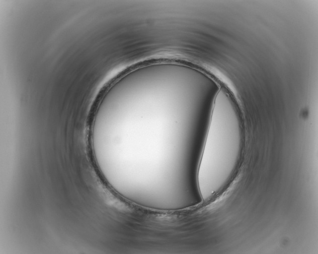 X0000092051029200709121021