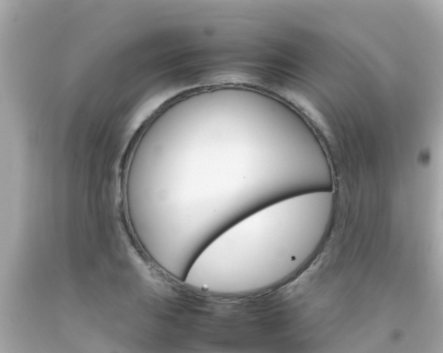 X0000092051031200709121021