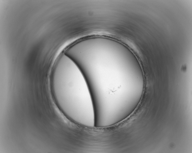X0000092051032200709121021