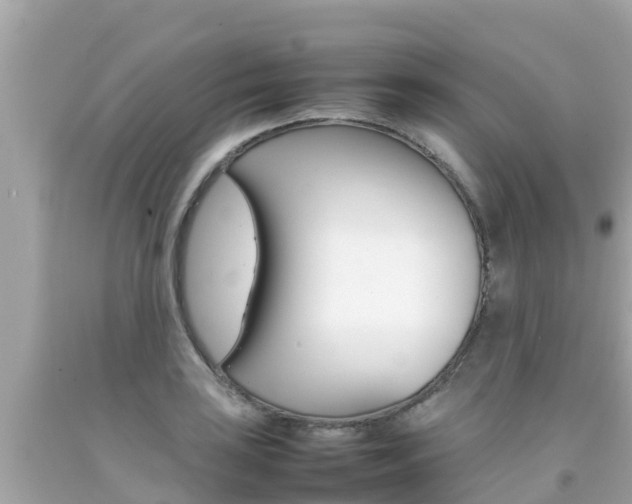 X0000092051035200709121021