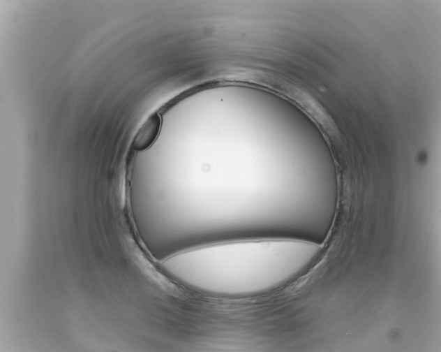 X0000092051036200709121021