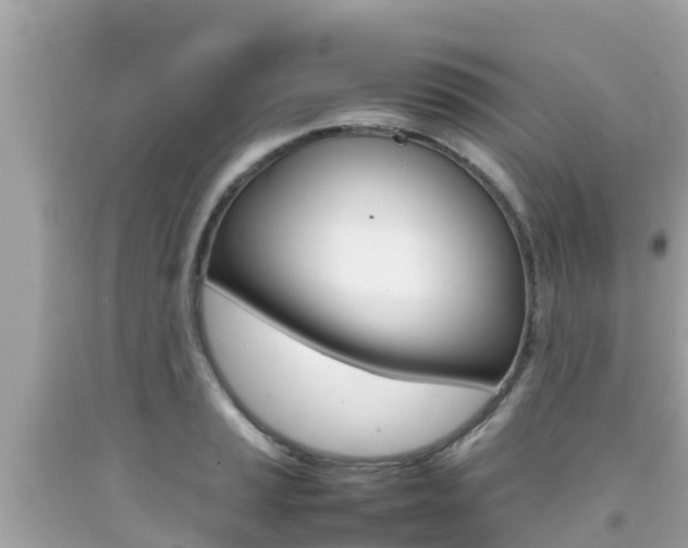 X0000092051037200709121021
