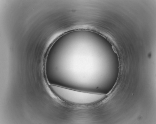 X0000092051038200709121021