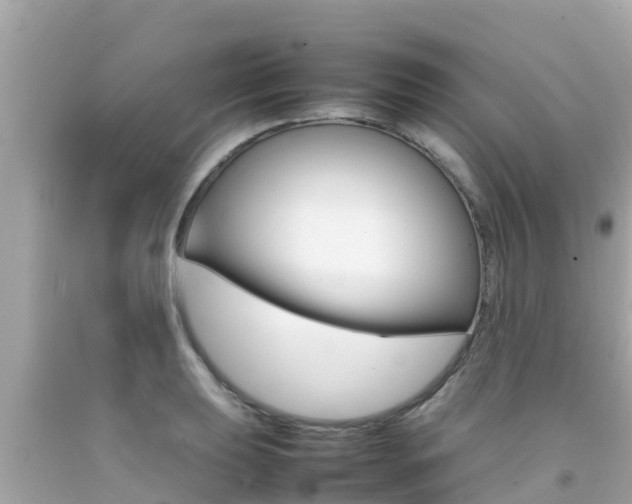 X0000092051039200709121021