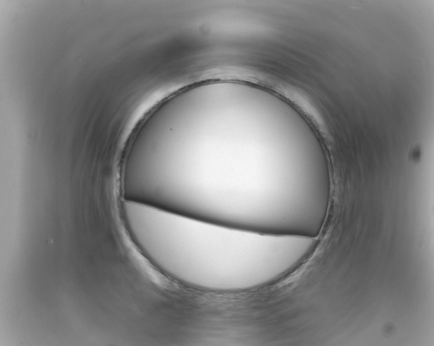 X0000092051040200709121021