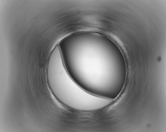 X0000092051041200709121021