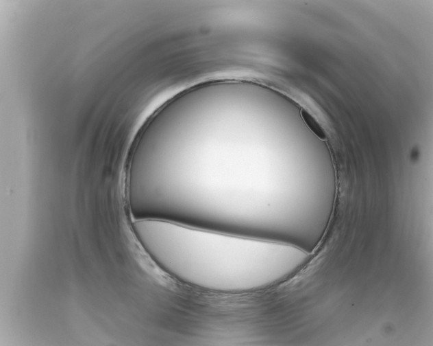 X0000092051044200709121021