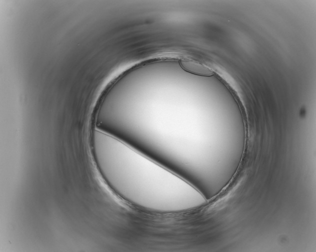 X0000092051045200709121021