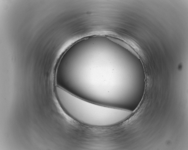 X0000092051046200709121021