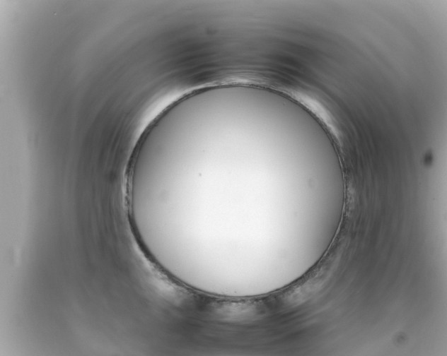 X0000092051047200709121021