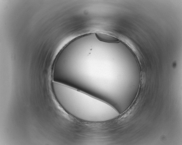 X0000092051048200709121021