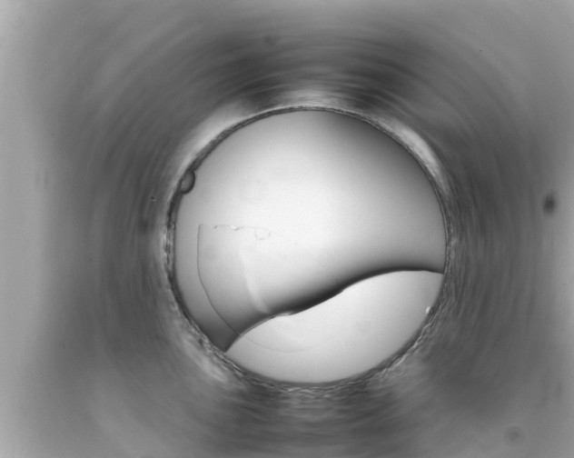 X0000092051051200709121021