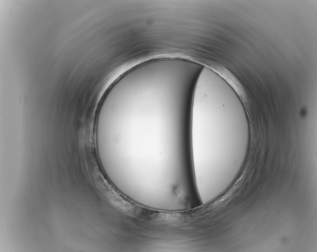 X0000092051052200709121021