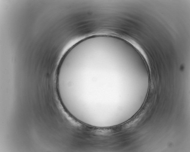 X0000092051053200709121021