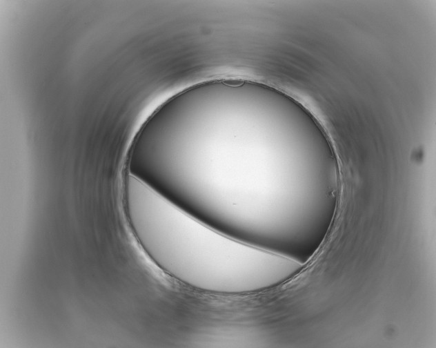X0000092051056200709121021