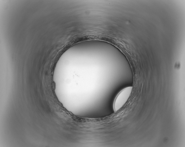 X0000092051057200709121020