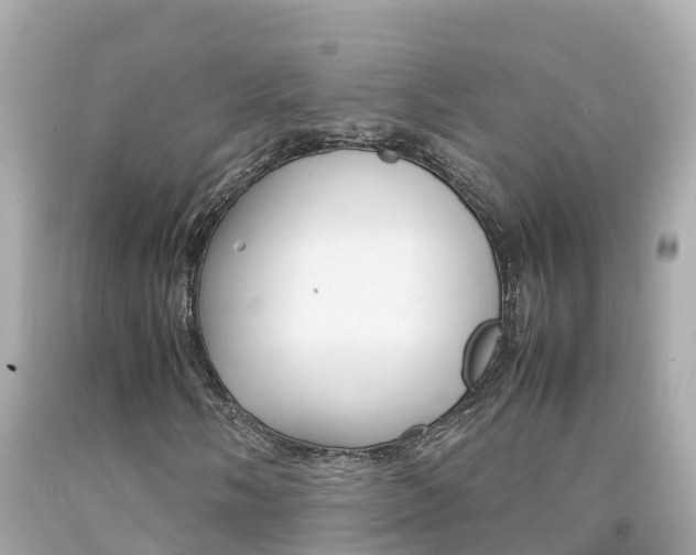 X0000092051058200709121020